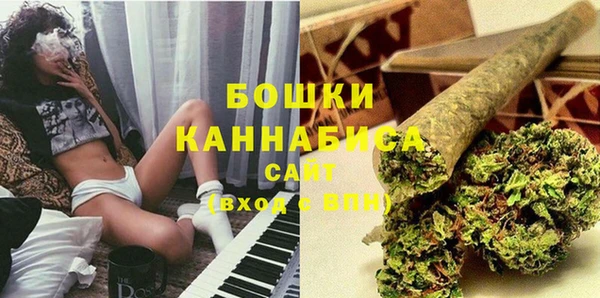 хмурый Бородино