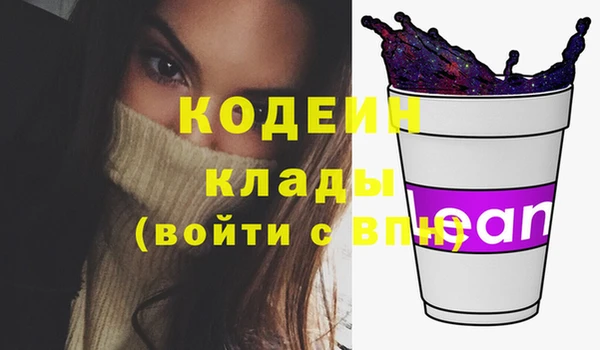 хмурый Бородино