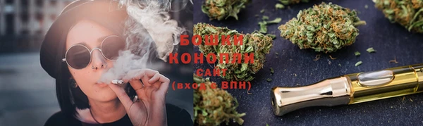 хмурый Бородино