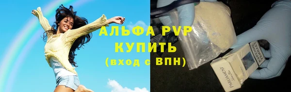 хмурый Бородино
