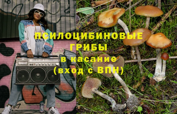 ECSTASY Бронницы