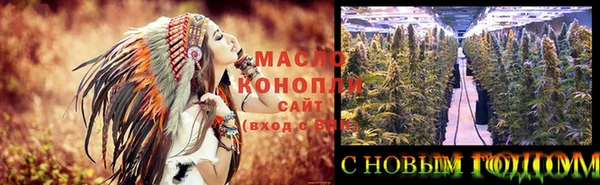 хмурый Бородино
