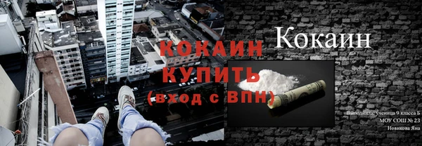 хмурый Бородино