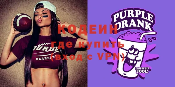 хмурый Бородино