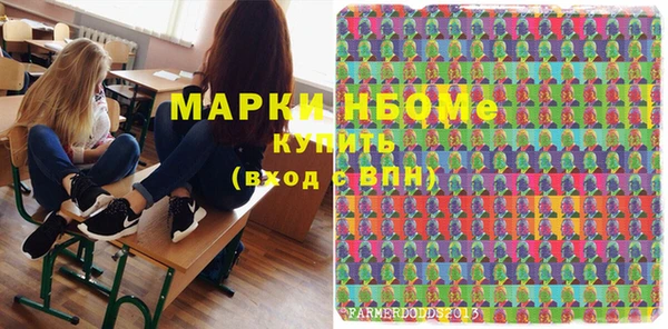 хмурый Бородино