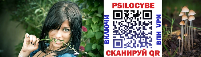 Псилоцибиновые грибы Psilocybine cubensis  Одинцово 